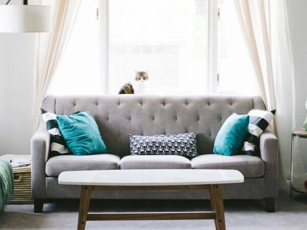 Canapé trendy pour votre decoration d'interieur
