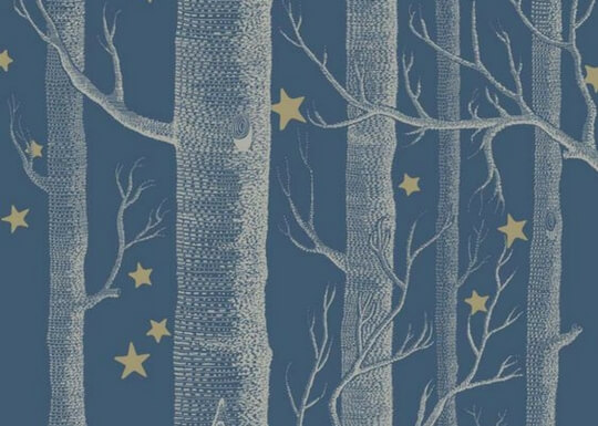 Papier peint inspiration nuit