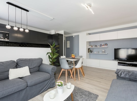 Rénovation appartement moderne séjour