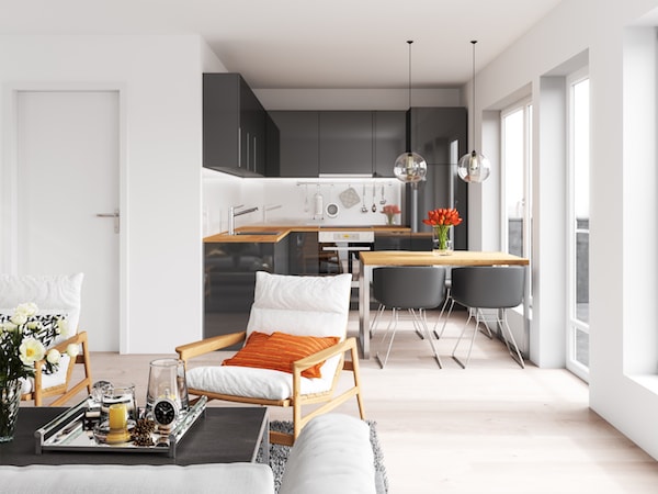 salon cosy maison cuisine equipee